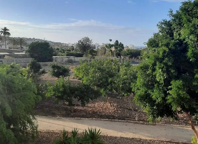 Oasis Del Duque Vakantiehuis *